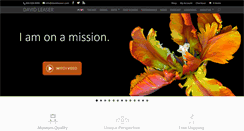 Desktop Screenshot of davidleaser.com